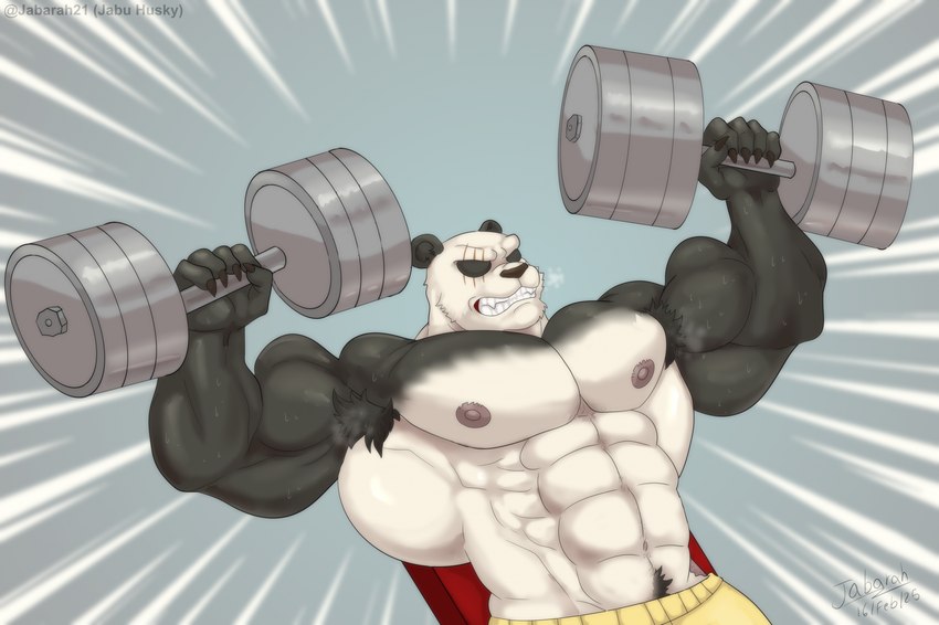 abs anthro biceps exercise male muscular muscular_anthro muscular_male nipples pecs solo weightlifting workout jabuhusky beastars gouhin_(beastars) bear giant_panda mammal hi_res