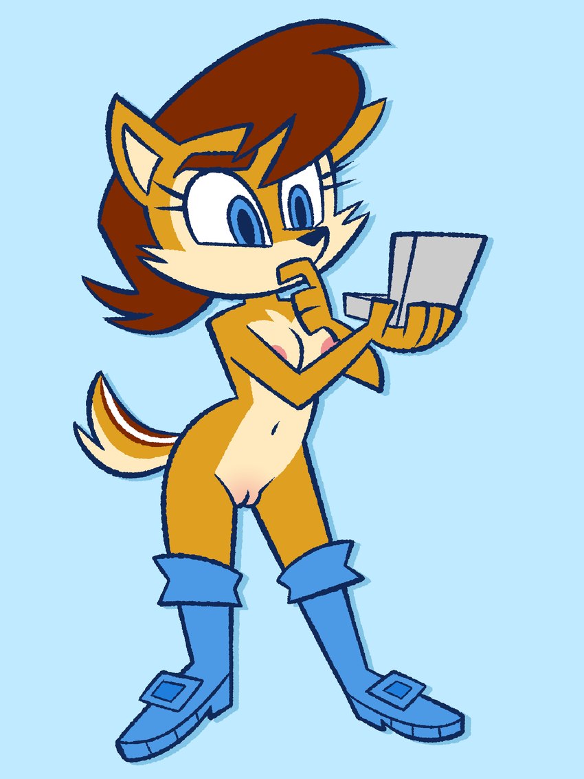 anthro blue_eyes boots boots_only brown_body brown_fur brown_hair casual_exposure clothing drop_shadow female footwear footwear_only fur genitals hair holding_object mostly_nude nipples outline pussy shoes solo standing toony artdexo2000 archie_comics sega sonic_the_hedgehog_(archie) sonic_the_hedgehog_(comics) sonic_the_hedgehog_(series) nicole_(computer) sally_acorn chipmunk ground_squirrel mammal rodent sciurid 2022 3:4 absurd_res full-length_portrait hi_res portrait