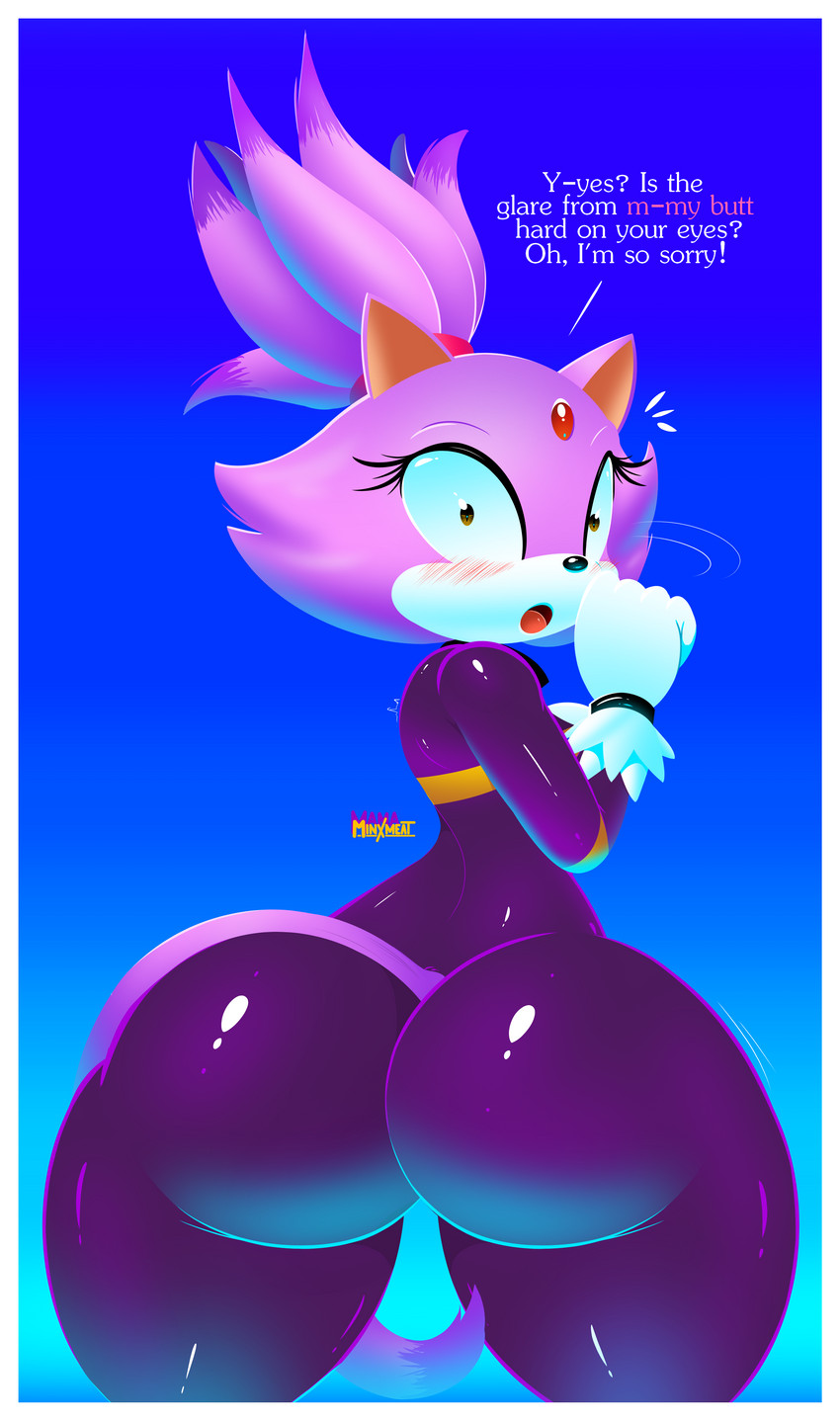 blaze the cat (sonic the hedgehog (series) and etc) created by mamaminxmeat