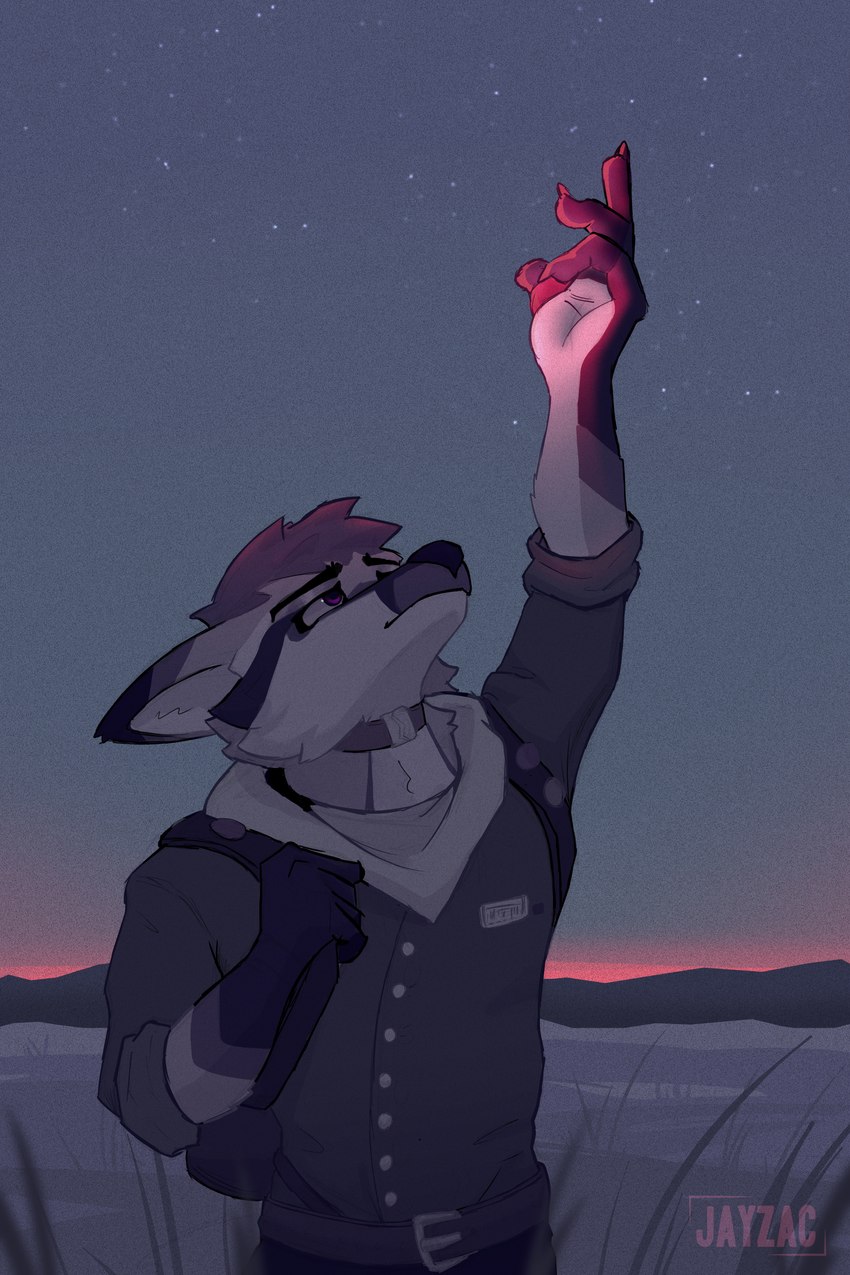 clothed clothing desert fully_clothed hiking landscape male night outside pensive purple_eyes red_light simple_background sky slim solo standing star sunset winter jayzac zachary_(gzdraws) canid canine fox mammal 2:3 absurd_res hi_res