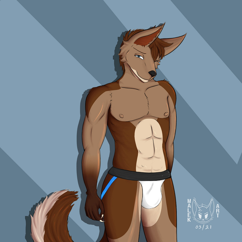 anthro brown_body brown_fur bulge claws clothing fur hair jockstrap looking_at_viewer male muscular muscular_anthro muscular_male nipples one_eye_closed short_hair simple_background smile solo underwear malekart canid canine canis mammal wolf 1:1 2021 colored digital_drawing_(artwork) digital_media_(artwork) digital_painting_(artwork) signature