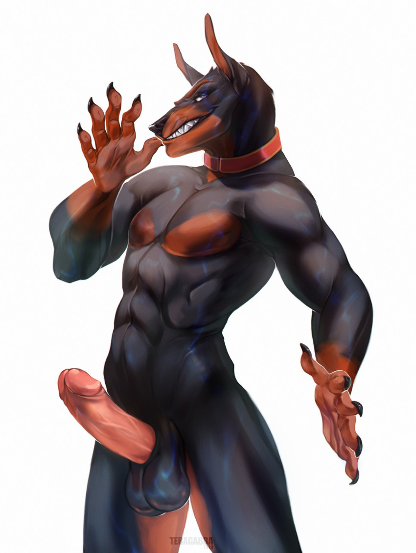 abs anthro balls black_body black_fur claws erection fur genitals grin humanoid_genitalia humanoid_penis looking_at_viewer male muscular muscular_anthro muscular_male nude penis sharp_teeth smile solo standing teeth teragabba klaus_doberman_(character) canid canine canis dobermann domestic_dog mammal pinscher hi_res