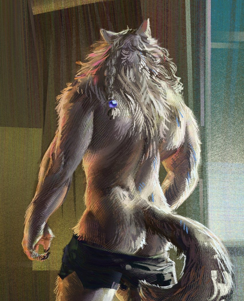 bottomwear bottomwear_down braided_hair butt clothed clothing fur grey_body grey_fur hair male muscular pants pants_down partially_clothed rear_view single_braid solo tail wolf_tail zantus mythology canid canine canis mammal mythological_canine mythological_creature werecanid werecanine werecreature werewolf wolf 2023 hi_res