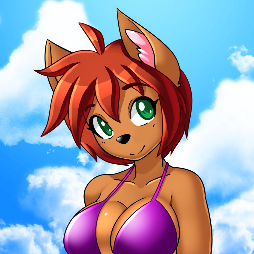 anthro bra breasts cleavage clothed clothing female hair sky skyscape smile solo underwear nekonny upstairstudios elexis_(mramp) mrs._amp_(mramp) mammal mustelid musteline true_musteline weasel 1:1 absurd_res bust_portrait hi_res portrait