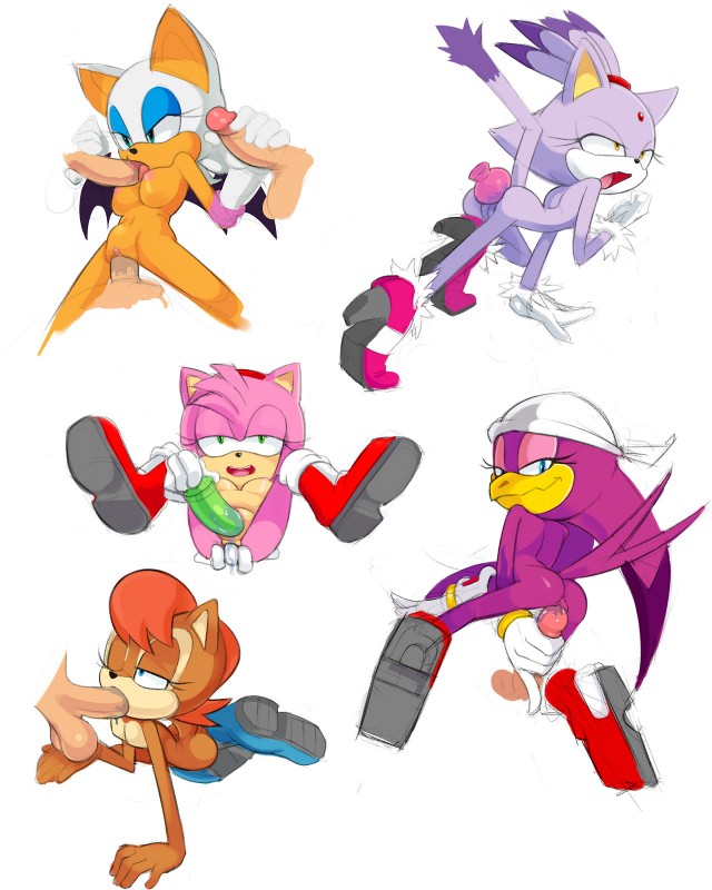 amy rose, blaze the cat, rouge the bat, sally acorn, and wave the swallow (sonic the hedgehog (archie) and etc) created by filthypally