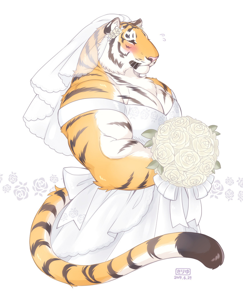 anthro blush clothed clothing countershading crossdressing dress male muscular muscular_anthro muscular_male solo wedding_dress giraffe_(artist) lam-chan felid mammal pantherine tiger closed_(disambiguation) 2020 hi_res signature