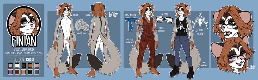 anthro balls boots chastity_cage chastity_device circumcised clothing eyewear flaccid footwear genitals glasses hair long_hair male penis shoes small_penis solo suit ruolina finian_wren american_opossum australian_possum mammal marsupial petaurid sugar_glider absurd_res hi_res model_sheet