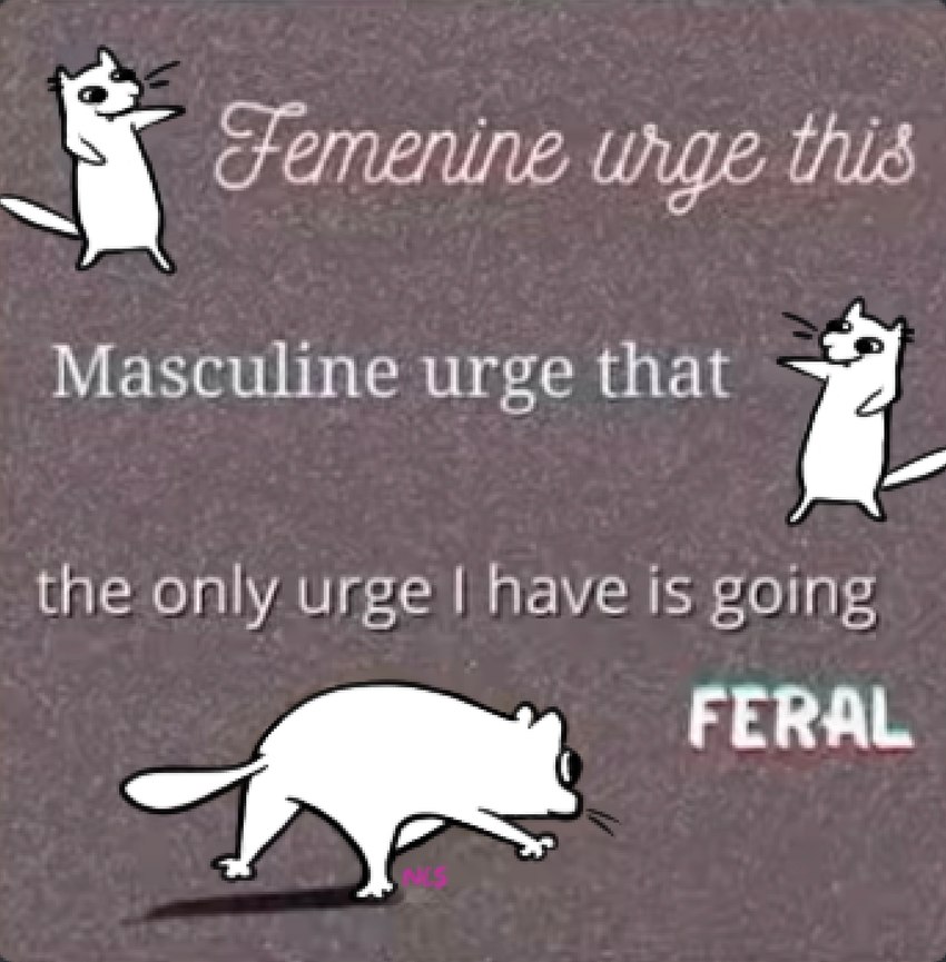 all_fours ambiguous_gender feral fur gesture grey_background humor shadow simple_background solo standing text the_truth whiskers ncs gloose_(ncs) domestic_cat felid feline felis mammal 2023 draw_over english_text hi_res image_macro meme reaction_image