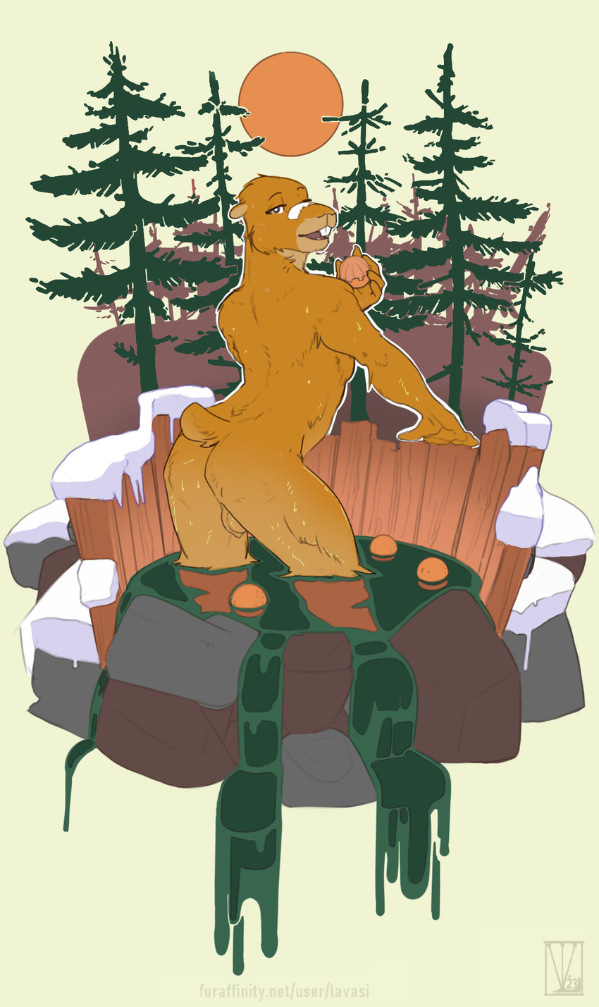 anthro backsack balls brown_body brown_fur buckteeth butt food forest fruit fur genitals half-closed_eyes holding_food holding_fruit holding_object holding_orange hot_spring looking_back male narrowed_eyes nature nude open_mouth orange_(fruit) outdoor_nudity outside partially_submerged plant smile solo standing tail teeth tree water wet wet_body wet_fur lavasi capybara caviid mammal rodent digital_media_(artwork) hi_res
