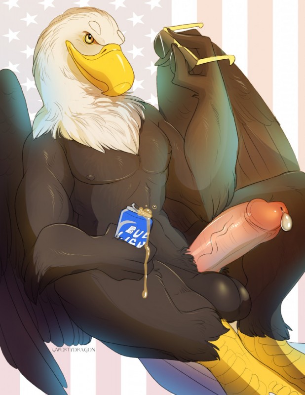 american eagle (4th of july and etc) created by qwertydragon