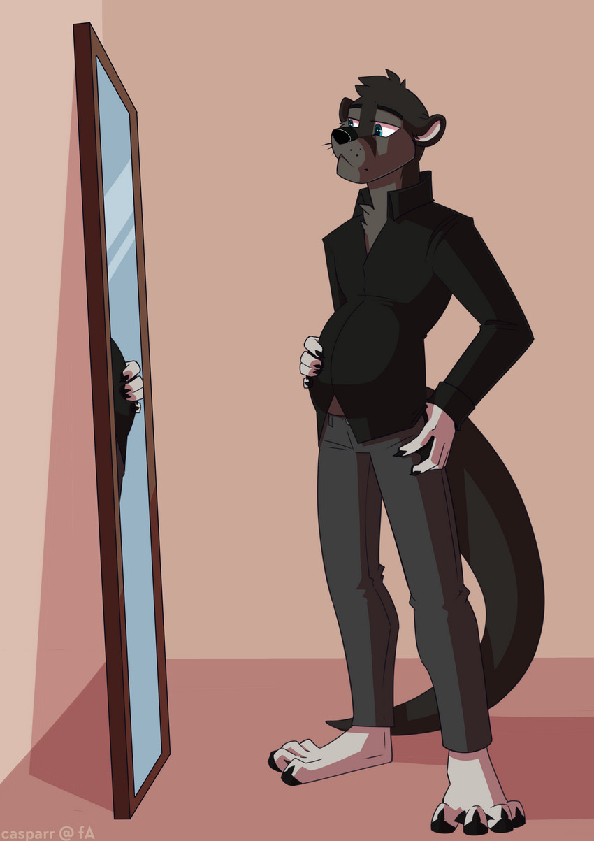 anthro clothed clothing fully_clothed hand_on_belly hand_on_hip looking_at_mirror looking_at_object male mirror pregnant pregnant_anthro pregnant_male solo standing casparr vaeldrath mammal mustelid otter 2020 absurd_res hi_res andromorph_(lore)