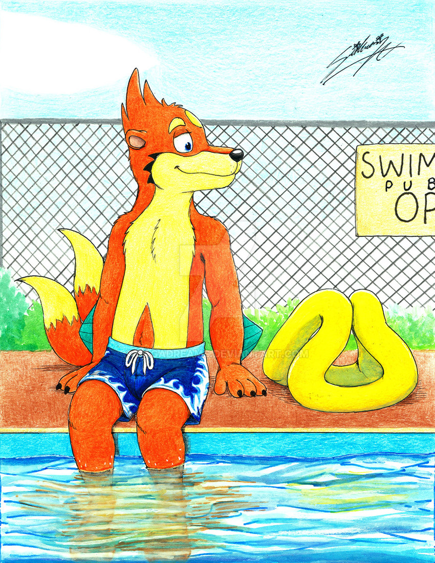 anthro blue_clothing blue_swimming_trunks blue_swimwear clothing fur male orange_body orange_fur solo swimming swimming_pool swimming_trunks swimwear sagadreams nintendo pokemon floatzel generation_4_pokemon pokemon_(species)