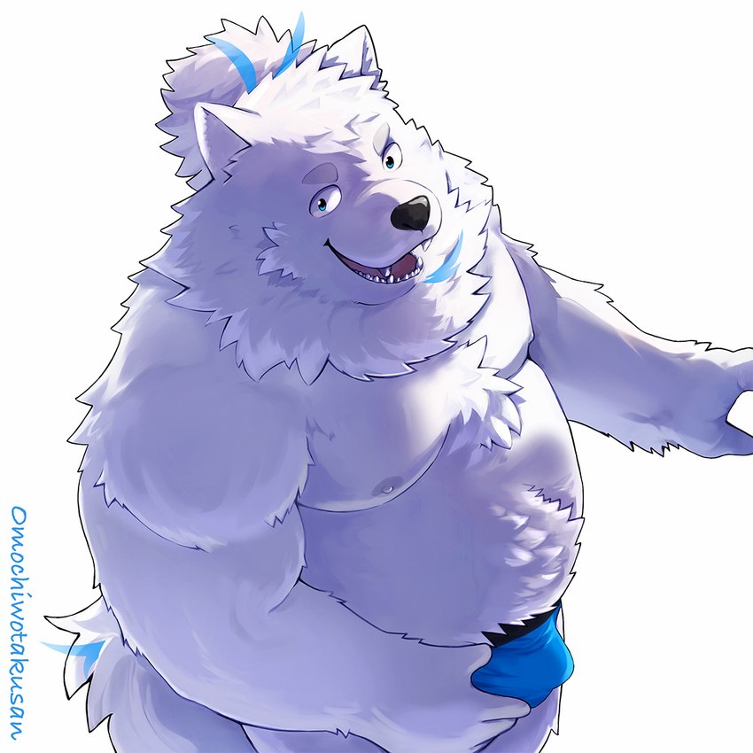 anthro belly blue_briefs blue_clothing blue_eyes blue_underwear briefs bulge clothing fur hair male moobs navel overweight ponytail solo standing underwear white_body white_fur omochiwotakusan lifewonders live_a_hero yohack canid canine canis domestic_dog mammal nordic_sled_dog samoyed spitz 1:1 better_version_at_paywall