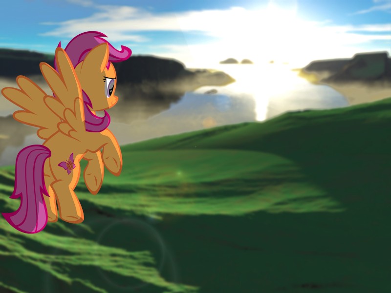 aged_up bay cliff cloud cutie_mark feathered_wings feathers female feral flying fur grass hair hill hooves landscape lens_flare mane orange_body orange_feathers orange_fur outside plant pre-g4 purple_eyes purple_hair sea sky solo style_emulation sunrise vector water wings supuhstar friendship_is_magic hasbro mlp_g3 my_little_pony mythology scootaloo_(g3) scootaloo_(mlp) equid equine mammal mythological_creature mythological_equine pegasus 2012 3d_(artwork) 4:3 digital_media_(artwork) hi_res mixed_media photoimpact_(artwork) terragen_(artwork)