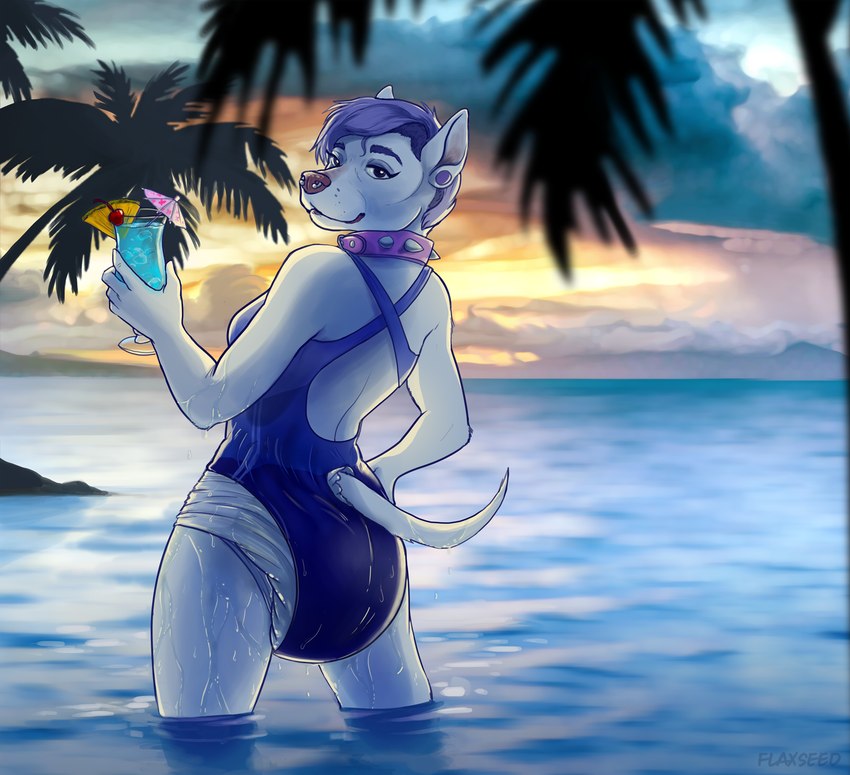 alcohol anthro beach beverage blue_hair breasts clean_diaper clothed clothing cocktail collar diaper ear_piercing female hair medium_breasts one-piece_swimsuit outside palm_tree piercing pink_collar plant seaside short_hair solo spiked_collar spikes swimwear tree water wearing_diaper flax_(artist) canid canine canis domestic_dog mammal hi_res