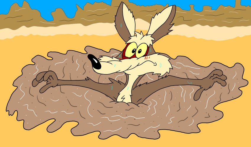 wile e. coyote (warner brothers and etc) created by hf6374ur37