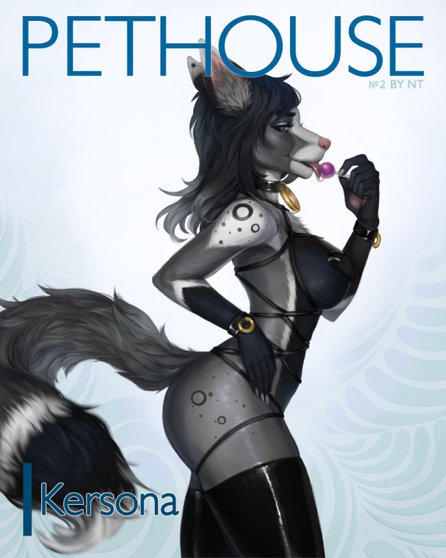 anthro bdsm breasts candy clothing collar dessert female food harness legwear licking lollipop looking_at_viewer pasties solo stockings tongue tongue_out neutral_nt kersona canid canine fox mammal 2018 4:5 absurd_res cover digital_media_(artwork) hi_res magazine_cover