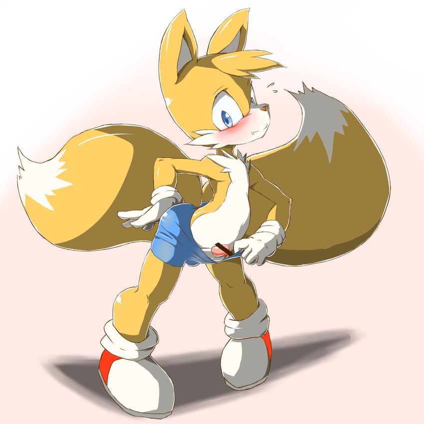 anthro blush bottomwear bottomwear_pull bulge clothing clothing_pull flashing genitals looking_at_viewer male penis shorts shorts_pull solo jimnydaisuki sega sonic_the_hedgehog_(series) miles_prower canid canine fox mammal 1:1 censored hi_res