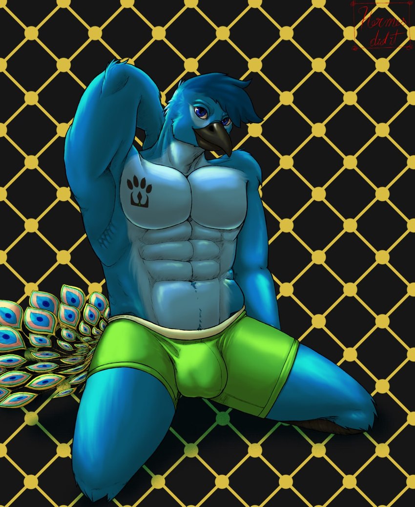 abstract_background bulge clothing feathers hand_behind_head kneeling looking_at_viewer male muscular muscular_male seductive solo tattoo underwear hermesdidit king_zanic_(character) avian bird galliform indian_peafowl peafowl phasianid hi_res