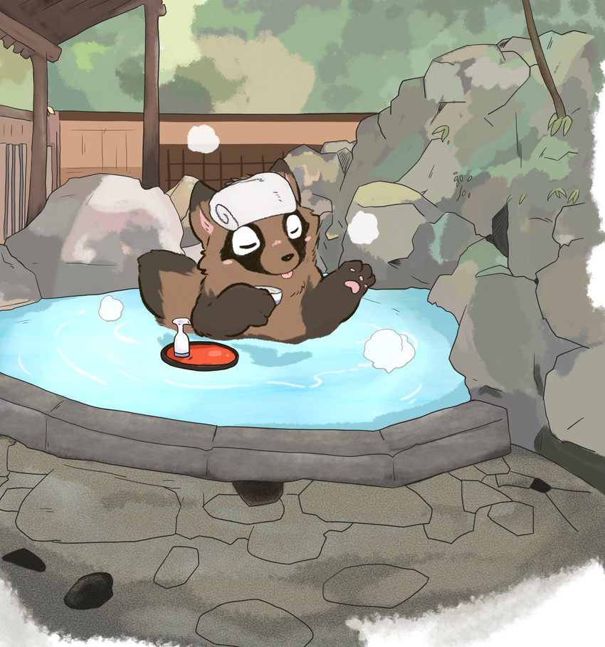 bathing brown_body brown_fur detailed_background eyes_closed feral fur kemono outside paws solo towel water tinntira canid canine mammal raccoon_dog tanuki 2020 hi_res