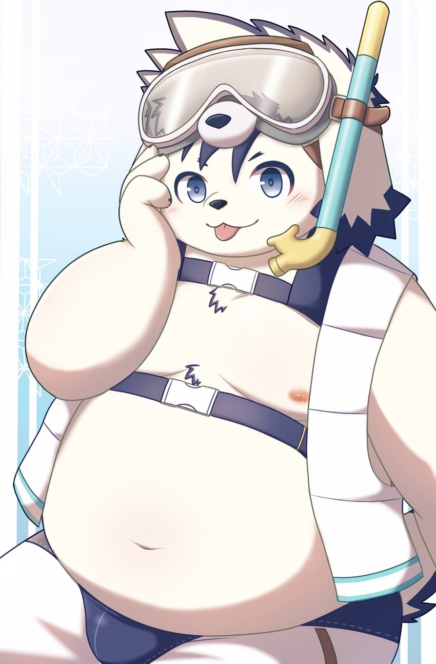 anthro belly blep blue_eyes blush bottomwear clothing eyewear fur goggles male moobs navel nipples overweight overweight_male shorts snorkel solo swimwear tongue tongue_out white_body white_fur gulf_rp tamacolle tajima_(tamacolle) canid canine canis domestic_dog mammal hi_res