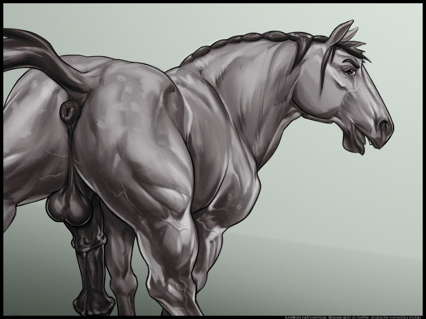 anatomically_correct anatomically_correct_anus animal_genitalia animal_penis anus balls black_balls black_border black_genitals black_penis border butt equine_balls equine_genitalia equine_penis equine_tail feral flared_penis genitals glistening glistening_eyes grey_body grey_tongue half-erect male medial_ring open_mouth penis presenting presenting_anus puffy_anus raised_tail simple_background solo tail tail_anus text tongue vein veiny_legs veiny_muscles veiny_thighs laser_(artist) heiken equid equine horse mammal url