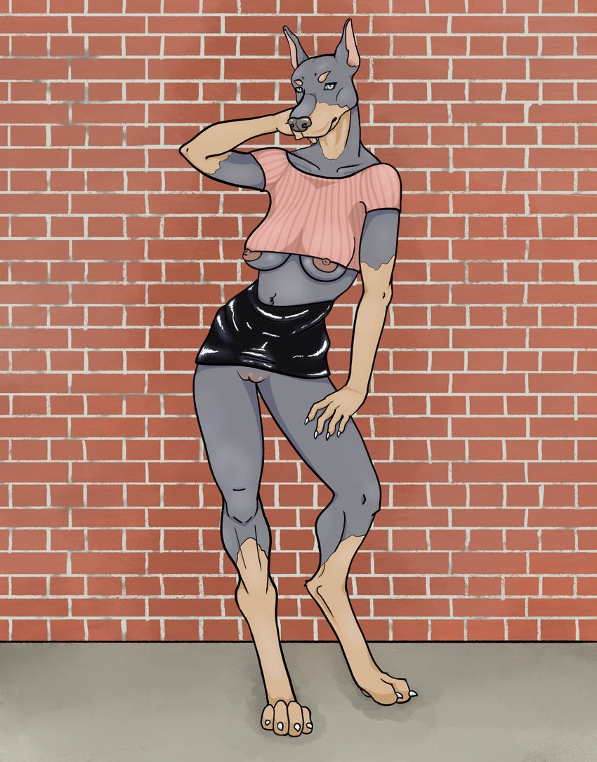 anthro big_breasts blue_eyes bottomwear breasts brick_wall clothed clothing clothing_lift colored_nails crop_top cropped_ears digitigrade exhibitionism female flashing genitals hand_behind_head ineffective_clothing latex looking_at_viewer nails nipples no_underwear partially_clothed pussy shirt skirt skirt_lift solo standing topwear wall_(structure) salmonmcclearn canid canine canis dobermann domestic_dog mammal pinscher 2020 absurd_res digital_media_(artwork) hi_res