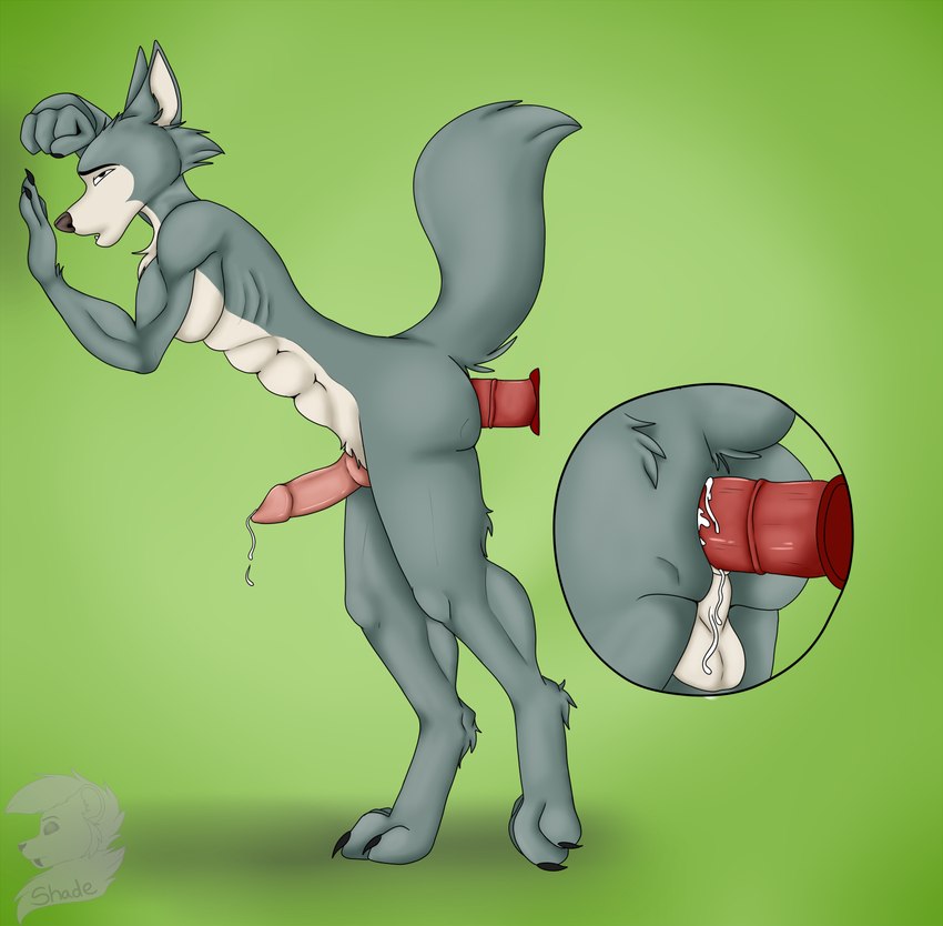 against_surface against_wall anthro cutaway male penetration solo toy shade_art beastars legoshi_(beastars) canid canine canis mammal wolf hi_res