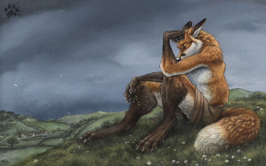 amber_eyes anthro black_nose bottomwear brown_arms brown_body brown_claws brown_ear_tips brown_eyebrows brown_fur brown_legs brown_pawpads claws clothing cloud cloudy_sky detailed_background dipstick_ears ear_markings eyebrows flower fur grass hill hillside looking_down male multicolored_ears nature orange_body orange_fur outside overcast pawpads plant sad shorts sky skyscape solo tail white_body white_fur blotch canid canine fox mammal red_fox true_fox 16:10 2008 wallpaper widescreen