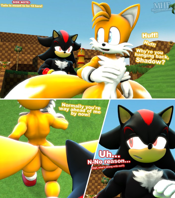 miles prower and shadow the hedgehog (sonic the hedgehog (series) and etc) created by moorsheadfalling