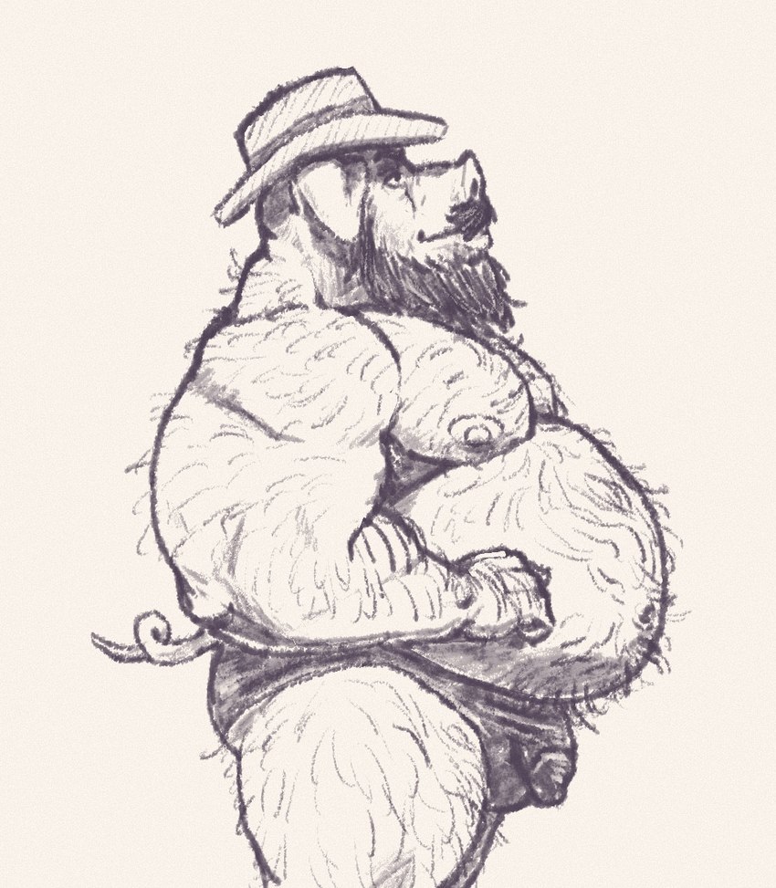 anthro arm_hair armpit_hair balls_outline beard belly belly_hair big_arms big_belly big_legs biped body_hair bulge butt clothing curled_tail detailed_bulge facial_hair genital_outline hairy hairy_back hands_on_hips hat headgear headwear leg_hair male male_anthro moobs muscular muscular_anthro muscular_male mustache navel nipples obese obese_anthro obese_male overweight overweight_anthro overweight_male pecs penis_outline side_view snout solo speedo straw_hat swimwear tail papyreit joe_(nanoff) mammal suine 2025 hi_res