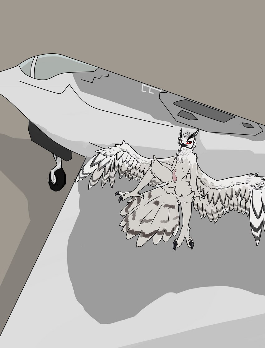 aircraft airplane anthro beak claws feathered_wings feathers feet genitals jet landing_gear looking_at_viewer male penis prehensile_penis red_eyes simple_background solo tail tail_feathers talons tapering_penis toe_claws toes tuft vehicle wheel white_body white_feathers wings yf-23 yf-23_black_widow voxtheowl thieu_(thieutheowl) avian bird eurasian_eagle-owl horned_owl owl true_owl absurd_res hi_res