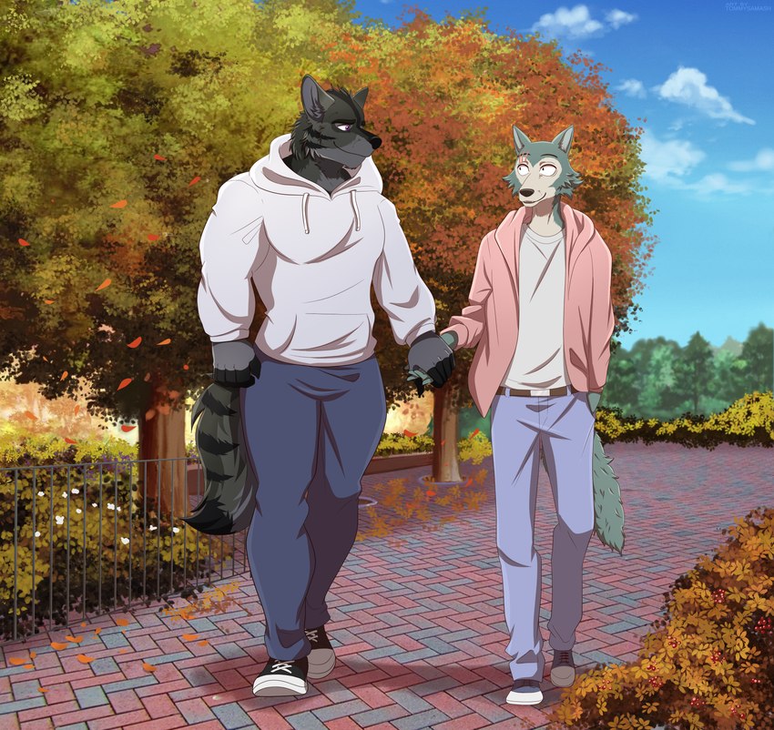 anthro autumn clothing duo footwear hand_holding male male/male muscular outside plant shirt smile topwear tree tommysamash beastars converse alex_nightmurr legoshi_(beastars) canid canine canis mammal wolf absurd_res hi_res story story_in_description