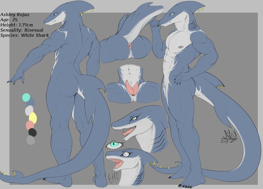 2_penises anthro anus claws femboy furgonomics furry-specific_piercing genitals makeup male multi_genitalia multi_penis muscular muscular_male penis piercing solo tail tail_piercing thick_thighs aloy27 fish humanoid mackerel_shark marine shark white_shark absurd_res hi_res model_sheet