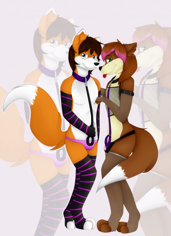 anthro bulge clothed clothing collar duo femboy fishnet_clothing fishnet_topwear legwear looking_at_viewer male panties thigh_highs topwear underwear luiwiwi_(artist) luvini luvini_(character) meep sky_(sky) canid canine fox mammal absurd_res digital_media_(artwork) hi_res