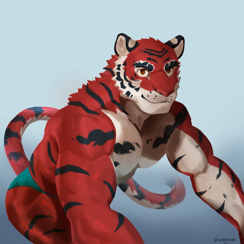 anthro biceps clothing eyebrows fur looking_at_viewer male muscular muscular_anthro muscular_male pecs red_body red_fur solo speedo striped_body striped_fur stripes swimwear thick_eyebrows xel0rium crave_saga yata_no_kagami_(crave_saga) felid mammal pantherine tiger 1:1 hi_res