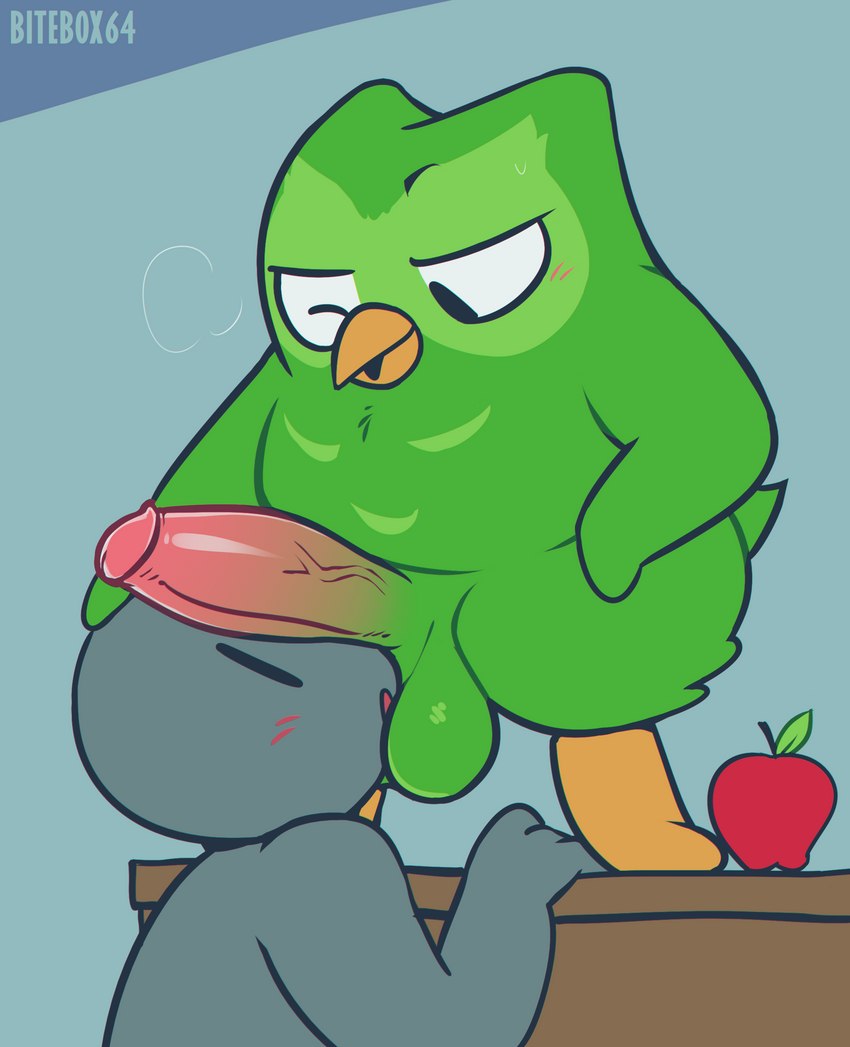 ambiguous_gender anthro apple balls beak big_balls big_penis duo erection feathers food fruit genitals green_body green_feathers looking_at_another looking_down looking_up male male/ambiguous male/male mascot open_mouth penis penis_on_face plant rubbing_penis standing bitebox64 duolingo anon anonymous duo_(duolingo) avian bird human mammal owl 2022 absurd_res hi_res