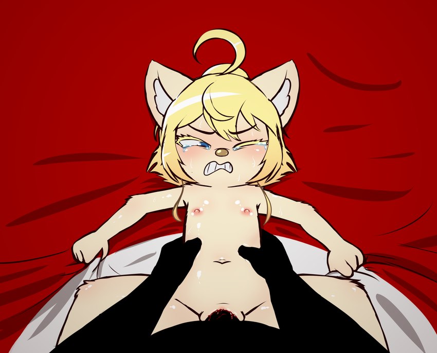 ahoge anthro anthro_penetrated blood blood_from_pussy blood_in_pussy blood_on_penis blush bodily_fluids clenched_teeth clitoris crying duo female female_penetrated flat_chested genitals grabbing_sheets hair large_penetration loli male male/female male_penetrating male_penetrating_female navel nazi nipples nude nude_anthro nude_female pain penetration penile penile_penetration penis penis_in_pussy pussy questionable_consent sex spreading tears teeth vaginal vaginal_penetration young young_anthro young_female young_penetrated e254e youjo_senki tanya_degurechaff domestic_cat felid feline felis mammal absurd_res hi_res