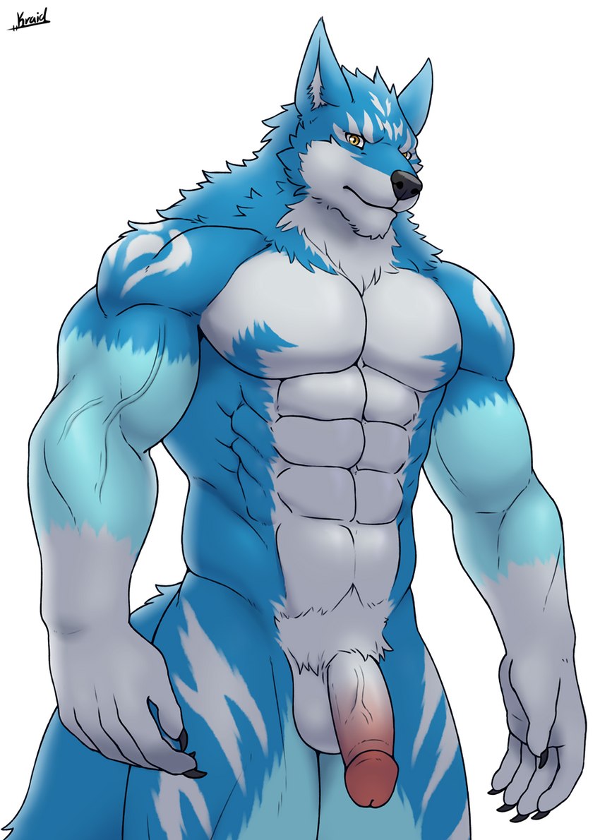 abs anthro blue_body blue_fur flaccid fur genitals humanoid_genitalia humanoid_penis male muscular muscular_male nude pecs penis pubes solo white_body white_fur kraidhiel sarcasticsparks canid canine canis mammal wolf hi_res