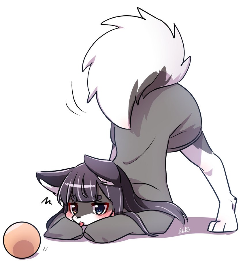 3_toes anthro ass_up ball black_hair blep blue_eyes blush clothing feet female female_anthro fur grey_body grey_clothing grey_fur grey_shirt grey_topwear hair jack-o'_pose kemono long_hair long_sleeves multicolored_body multicolored_fur orange_ball pose raised_tail shirt simple_background snout solo tail toes tongue tongue_out topwear two_tone_body two_tone_fur white_background white_body white_fur nachiwanko canid canine canis domestic_dog mammal 2021 hi_res