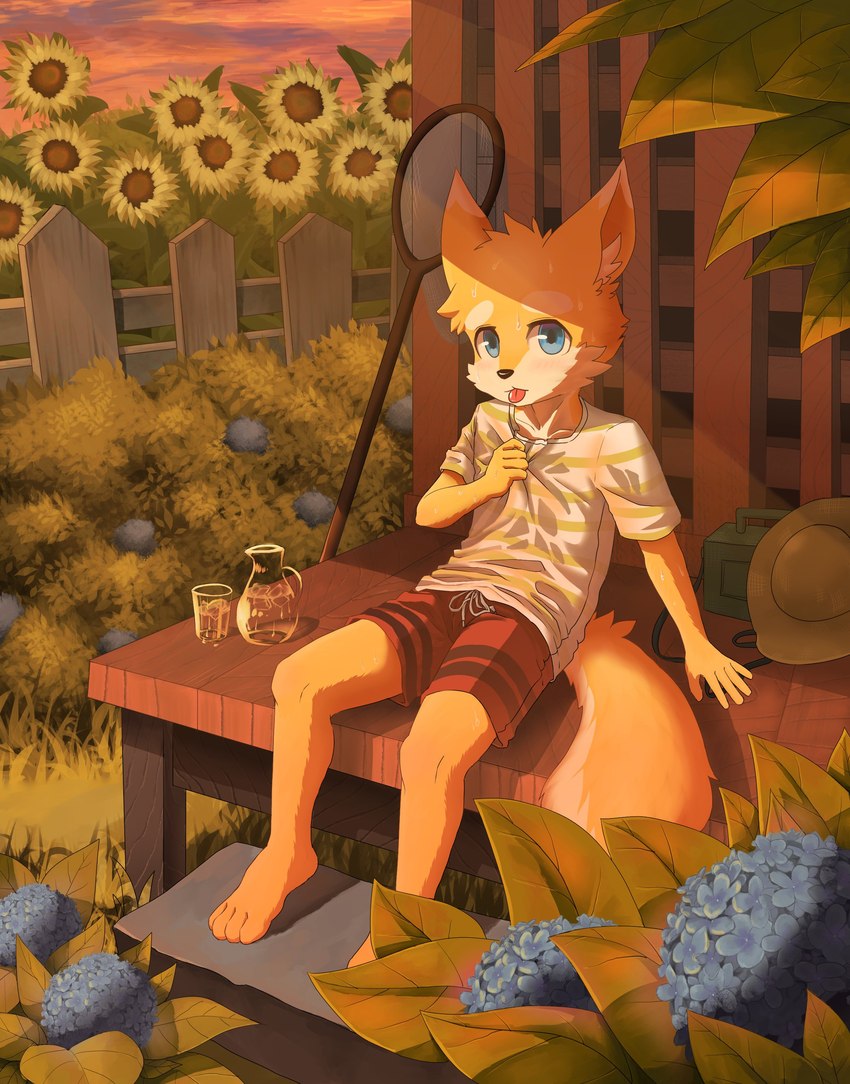 anthro beverage black_nose blep blue_eyes blue_flower bodily_fluids bottomwear clothed clothing cloud flower fur glistening glistening_eyes grass green_clothing green_shirt green_t-shirt green_topwear head_tuft hydrangea leaf looking_at_viewer male orange_body orange_fur outside pants pattern_clothing pattern_shirt pattern_t-shirt pattern_topwear plant red_bottomwear red_clothing red_pants shirt sky solo striped_clothing striped_shirt striped_t-shirt striped_topwear stripes sunflower sweat t-shirt tan_body tan_fur three-quarter_view tongue tongue_out topwear tuft unsigned white_clothing white_shirt white_t-shirt white_topwear young young_anthro papayafurry canid mammal absurd_res full-length_portrait hi_res portrait