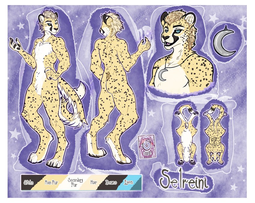 anatomy anatomy_reference anthro border male solo white_border sakary_yoliztli selreini_(character) cheetah felid feline mammal absurd_res hi_res model_sheet