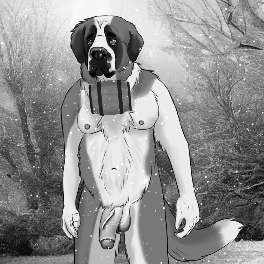 anthro balls barrel dog_barrel foreskin genitals humanoid_genitalia humanoid_penis male penis rescue slightly_chubby snow solo text vein fenderr canid canine canis domestic_dog mammal molosser mountain_dog saint_bernard 1:1 english_text greyscale hi_res monochrome