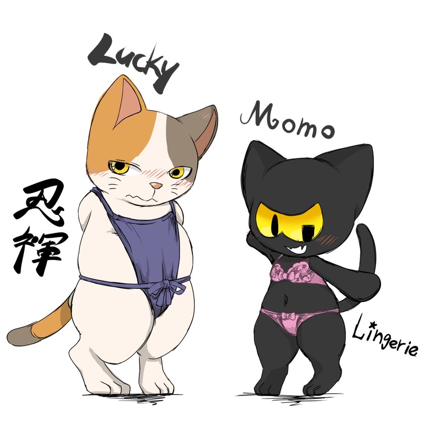 anthro blush bra clothing duo female lingerie panties simple_background tail text underwear white_background mematarou doodle_champion_island_games google google_doodle magic_cat_academy lucky_(google) momo_(google) calico_cat domestic_cat felid feline felis mammal 1:1 character_name