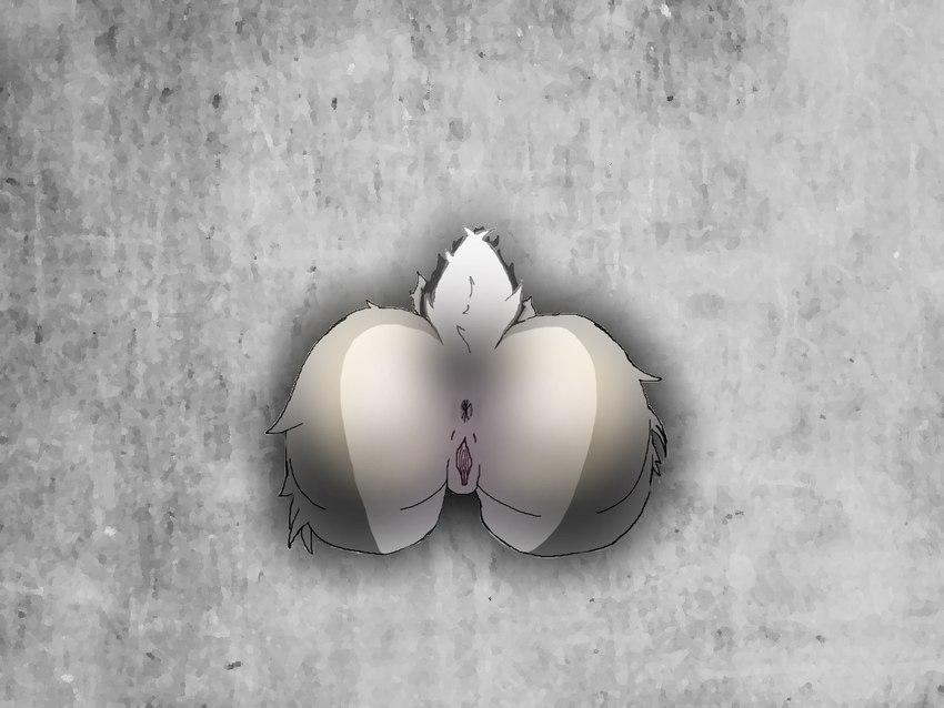 anthro anus bdsm butt female fur genitals glory_hole grey_body grey_fur public_use pussy solo stuck through_wall white_body white_fur unknown_artist minikane lagomorph leporid mammal rabbit 4:3