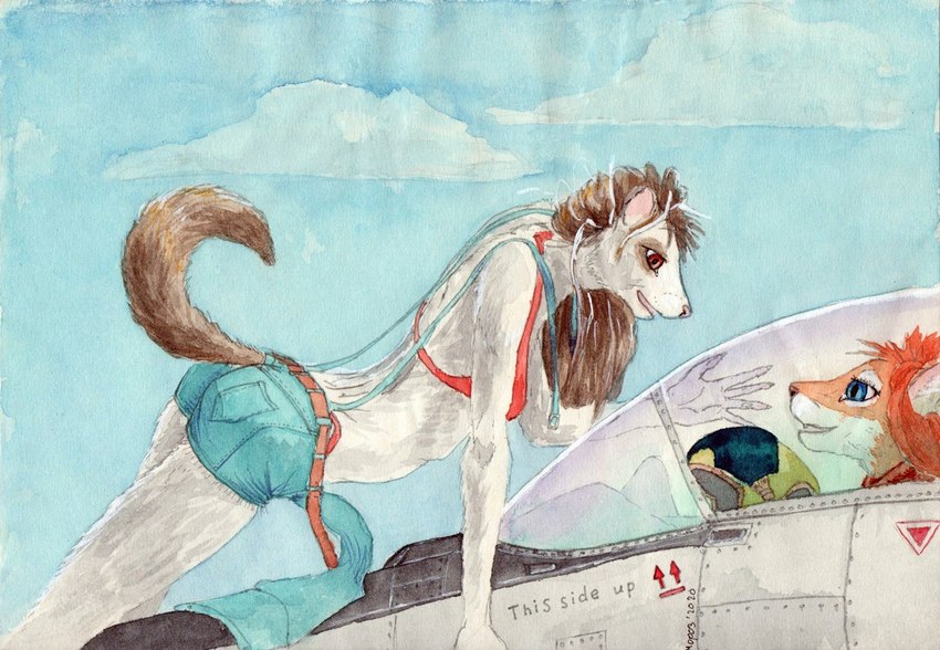 anthro climbing clothing duo female female/female meets pilot's plane. runway tail undressing way worker julia zina domestic_cat felid feline felis mammal mustelid musteline true_musteline weasel