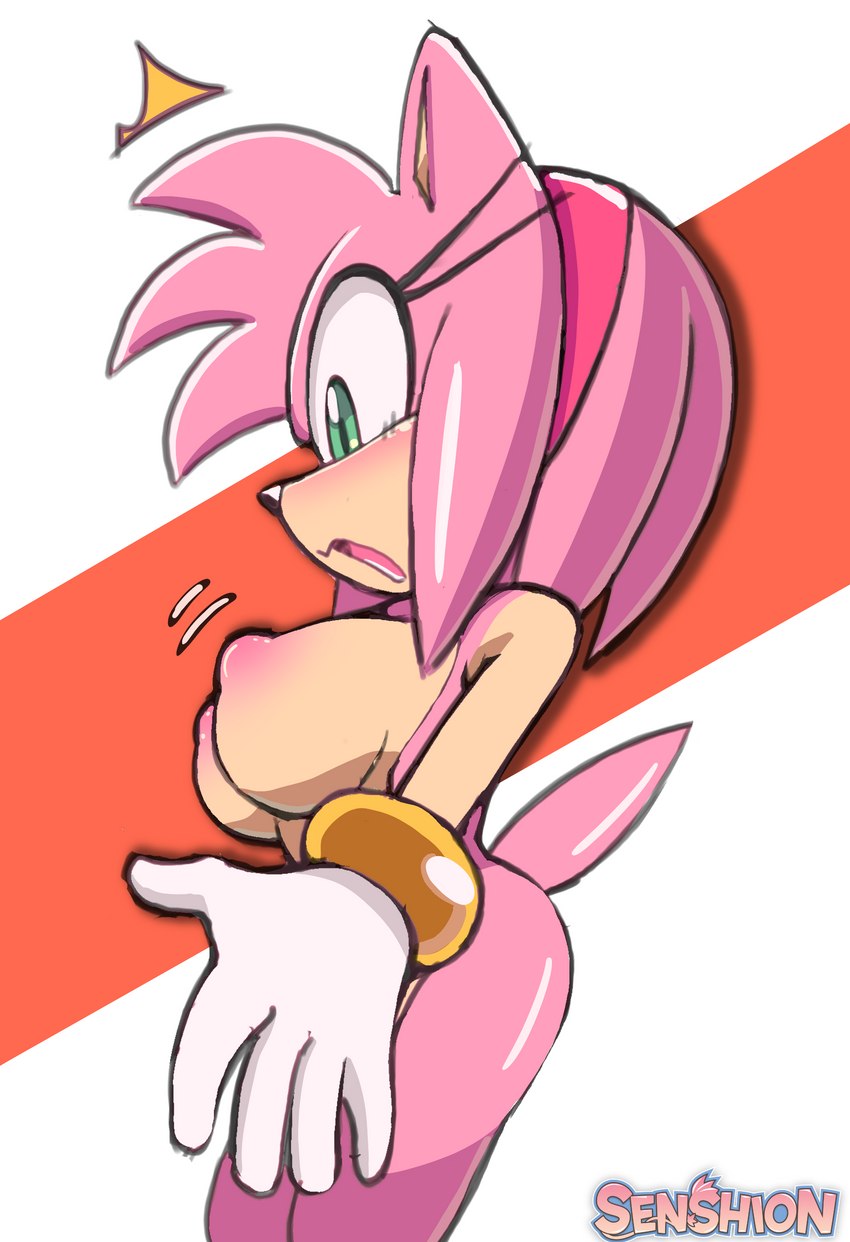 amy rose (sonic the hedgehog (series) and etc) created by senshion