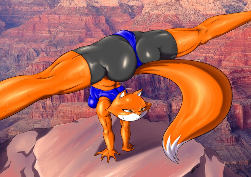 anthro big_butt big_tail blue_bra blue_clothing blue_sports_bra blue_underwear bodily_fluids bottomwear bra butt canyon clothing detailed_background exercise female glistening glistening_bottomwear glistening_clothing glistening_shorts green_eyes grey_bottomwear grey_clothing grey_shorts handstand handstand_with_split_pose orange_body shorts solo sports_bra spread_legs spreading sweat tail tight_bottomwear tight_clothing tight_shorts training underwear souleatersaku90 brutal_paws_of_fury foxy_roxy canid canine fox mammal 2022