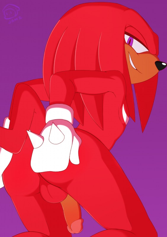 anthro balls biped butt clothing genitals gloves half-erect hand_on_butt handwear humanoid_genitalia humanoid_penis looking_at_viewer looking_back male nude penis presenting presenting_hindquarters sitting smile solo spikes jammiez sega sonic_the_hedgehog_(series) knuckles_the_echidna echidna mammal monotreme absurd_res hi_res