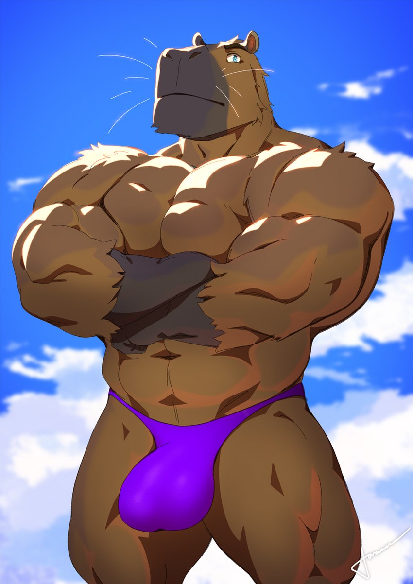 abs anthro barazoku biceps blue_eyes brown_body brown_fur bulge clothed clothing crossed_arms deltoids fur hairless_hands male muscular muscular_anthro muscular_male muscular_thighs pecs purple_clothing purple_speedo purple_swimwear sky solo speedo speedo_only swimwear topless triceps underwear whiskers taoren norrix_gettinger_(pepsi) capybara caviid mammal rodent 2023 hi_res signature